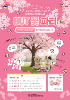 2026 백호로41팝업카페 'BUT꽃파티' 행사 안내